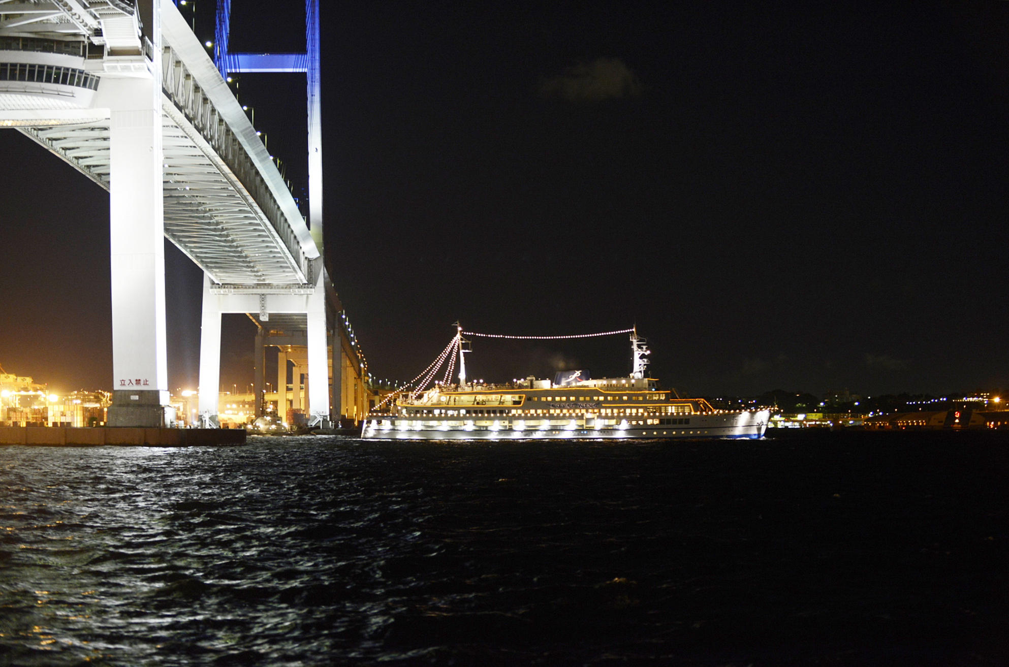 横浜クルーズ船の「スペシャルチャータープラン（全船貸切）」プランの写真
